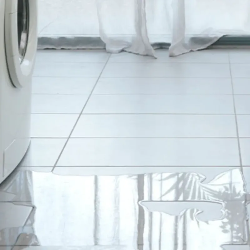 Appliance Leak Cleanup in Johnston, IA