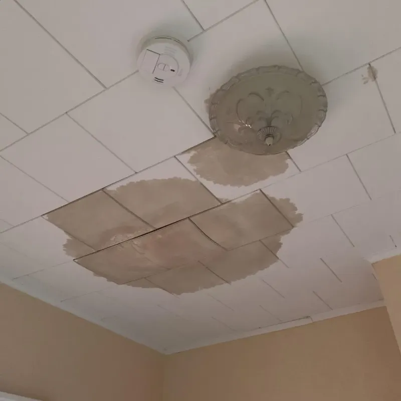 Ceiling Water Damage Repair in Johnston, IA