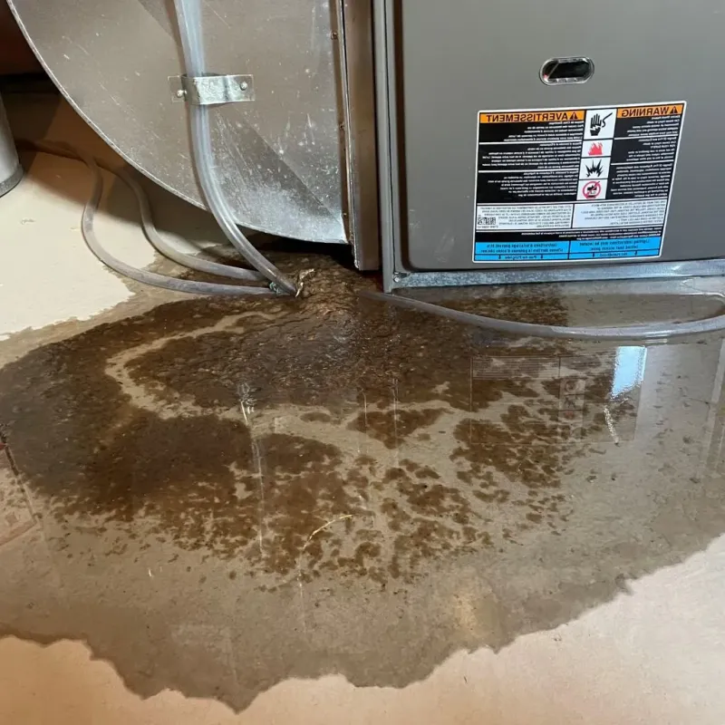 Pipe Burst and Leak Restoration in Johnston, IA