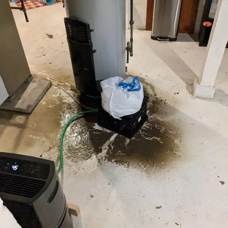 Sewage Backup Cleanup Service in Johnston, IA
